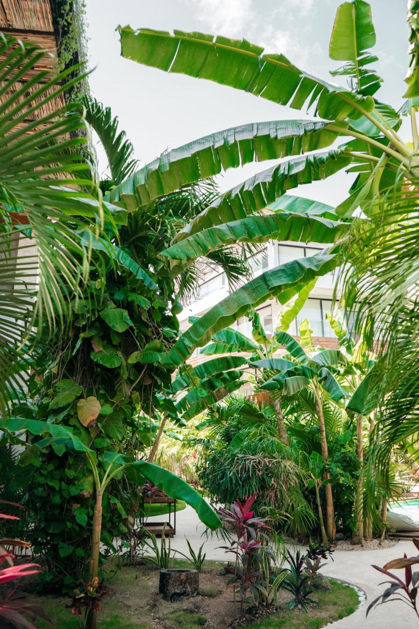 Apartamento Kinah Retreat - Exclusive Boho Tropical Escape Tulum Exterior foto